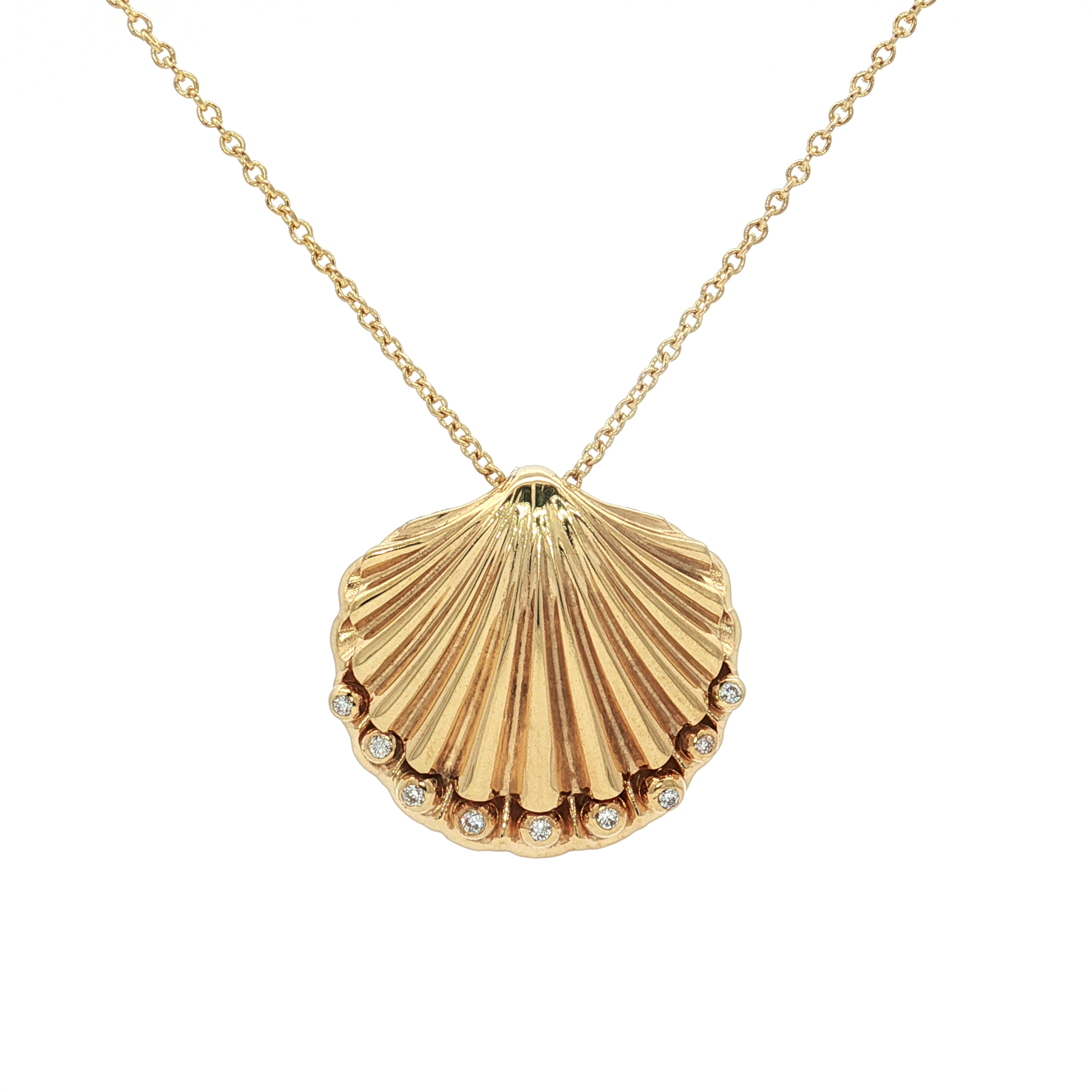 Seashell Pendant